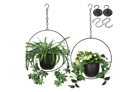 挂在天花板种植园主