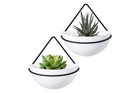 挂墙种植园主