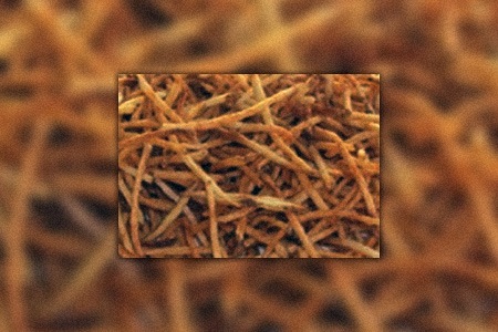切成丝的薯条