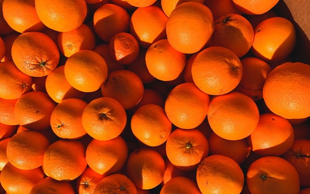 橙子的种类缩略图